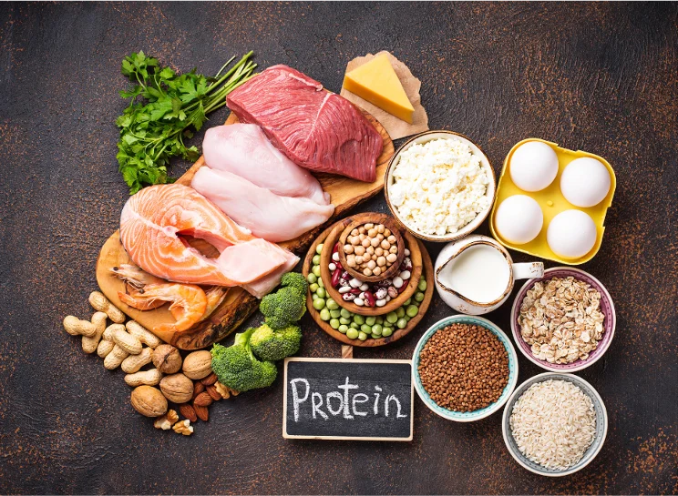 High-protein foods aiding ACL surgery recovery.