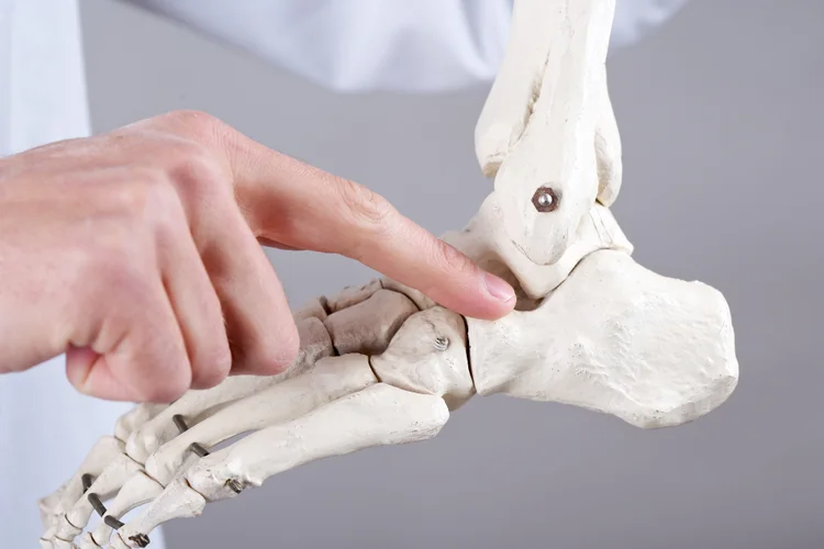 Ankle specialist explaining bone and ligament anatomy.