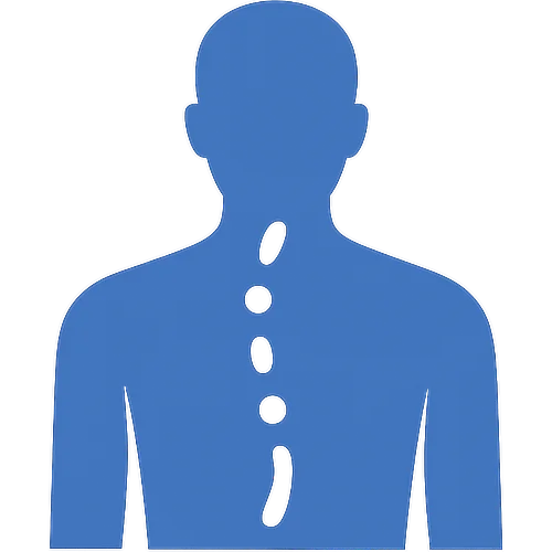 Back Icon