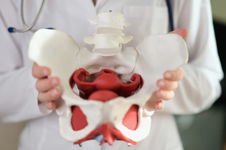 Hip specialist holding anatomical model of pelvis to explain hip structure and common joint issues.